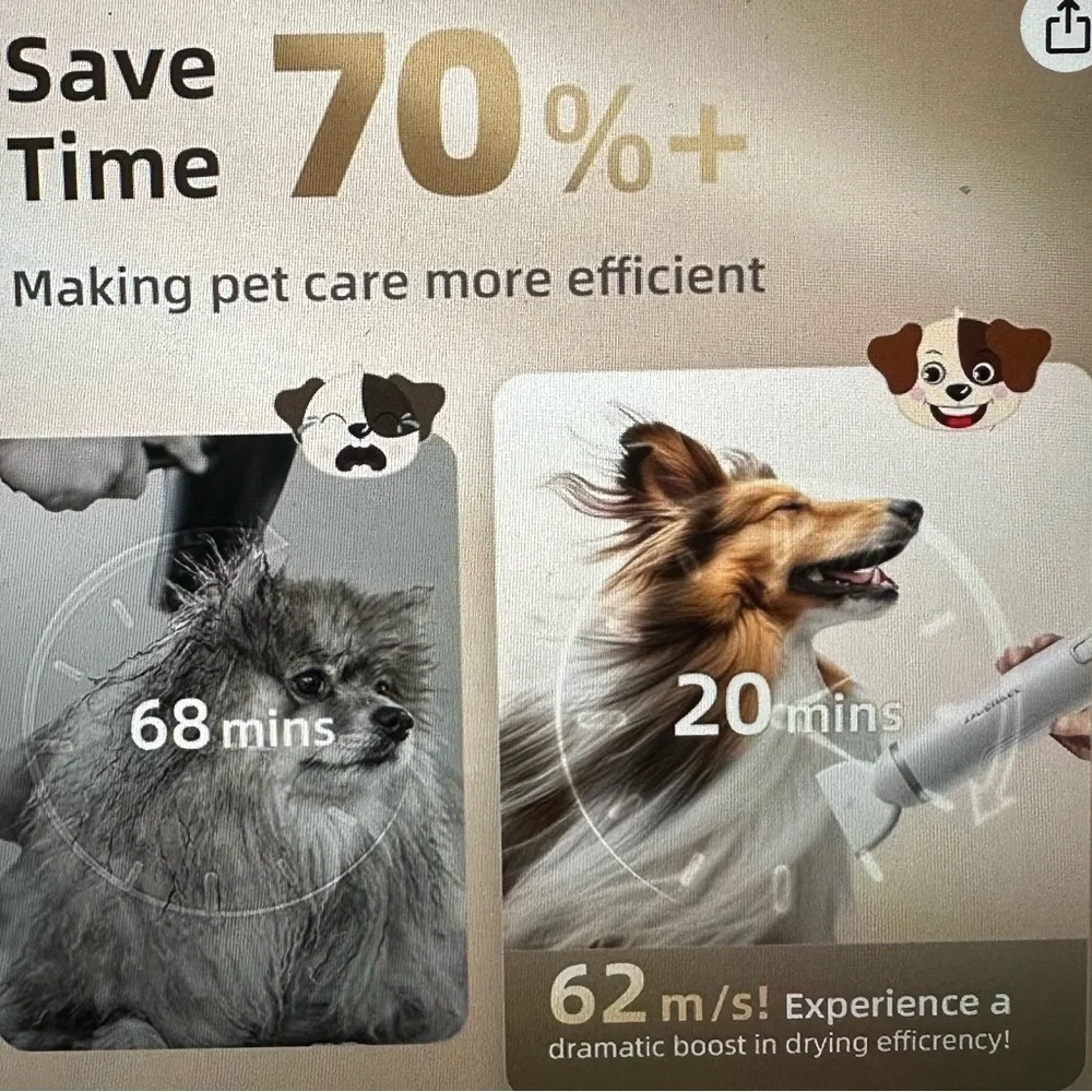 Blow dryer for pet grooming